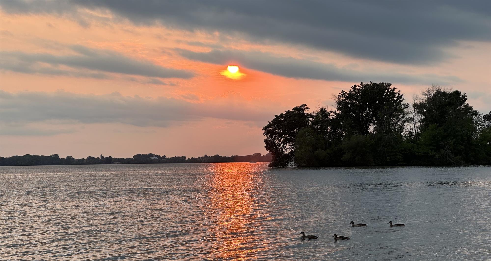 Credit: Facebook / Beaver Dam Lake Improvement Association, Inc.